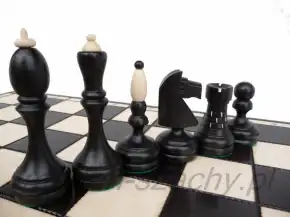 Piezas de torneo negras y claras
